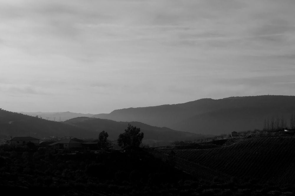 Photograph by João Patrício