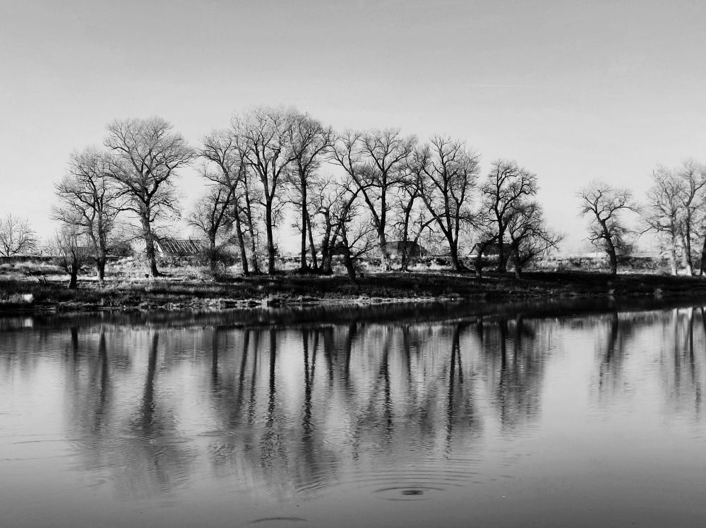 Photograph by Надежда Батракова