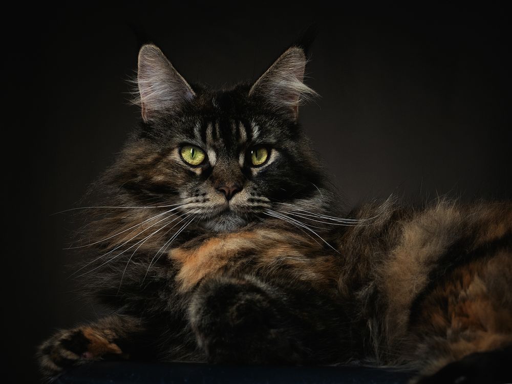 Photograph by Александр Луппов