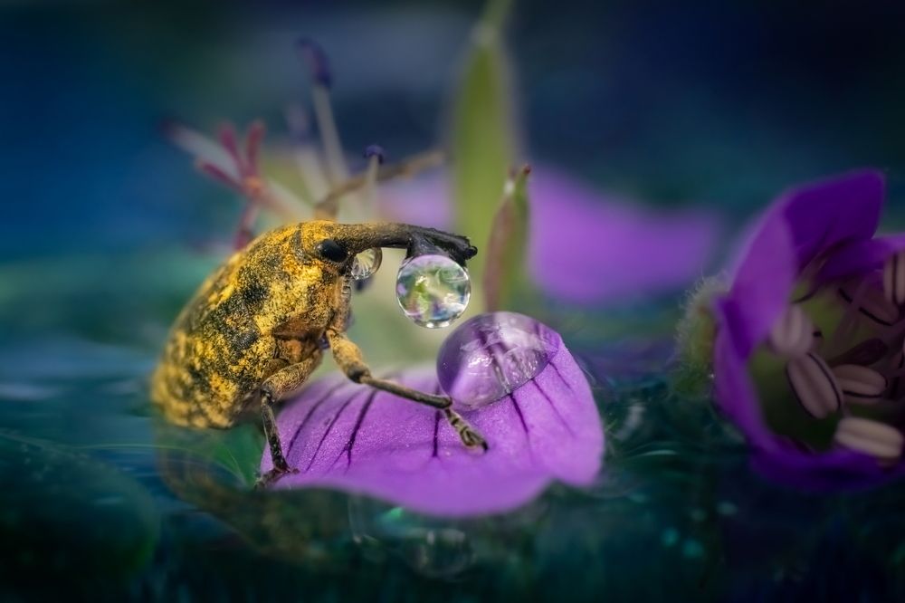 Photograph by Николай Фонарёв