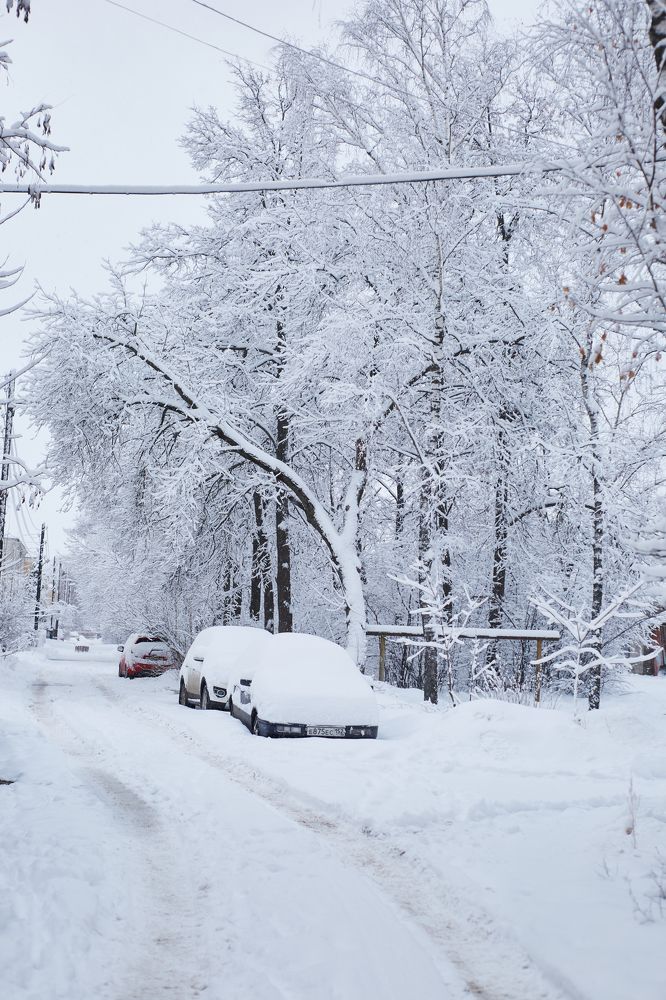 Photograph by Света Сафонова