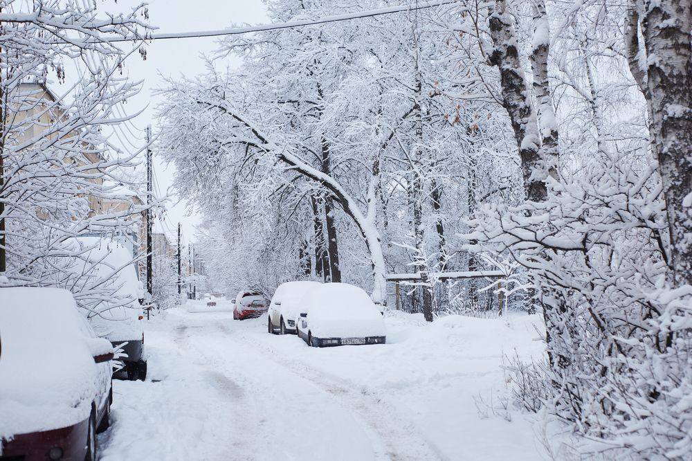 Photograph by Света Сафонова