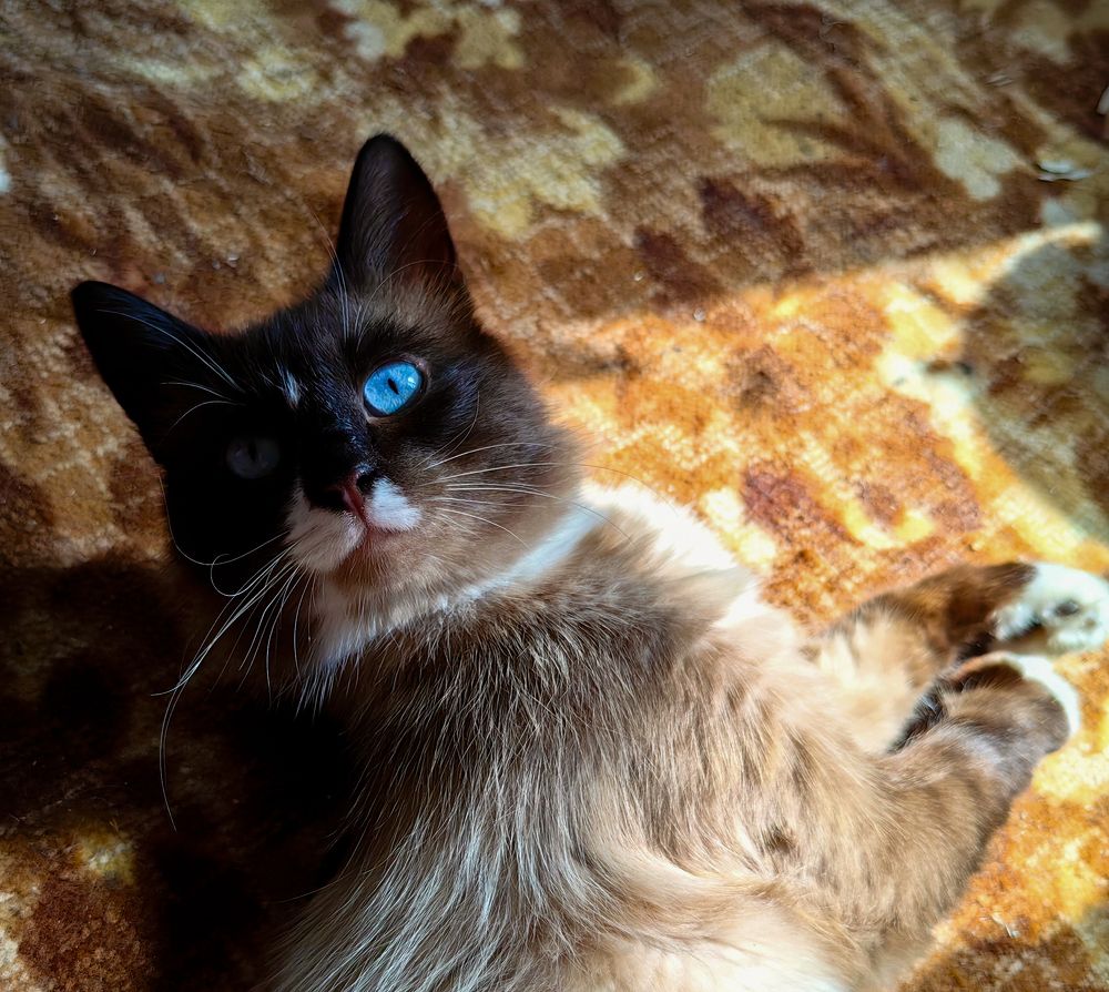 Photograph by Мудрилов Антон