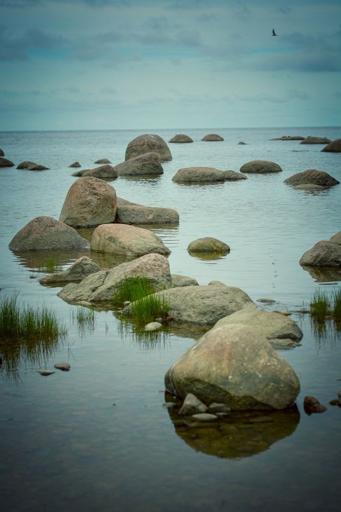 Фотография автора Михаил Мазлоев