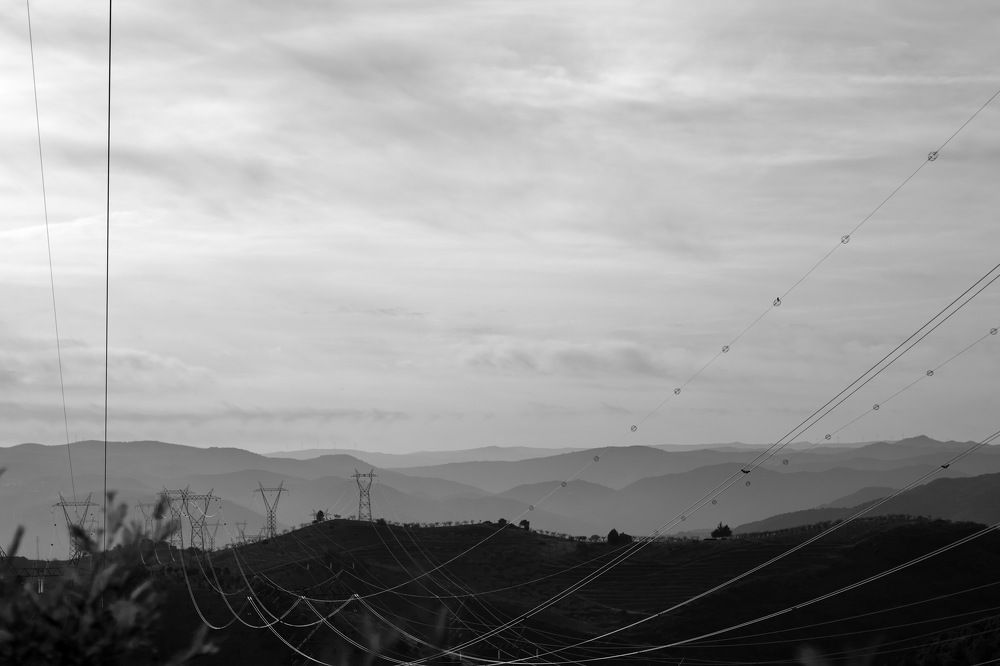 Photograph by João Patrício