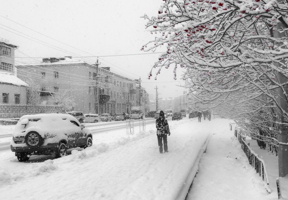 Photograph by Владимир Елькин