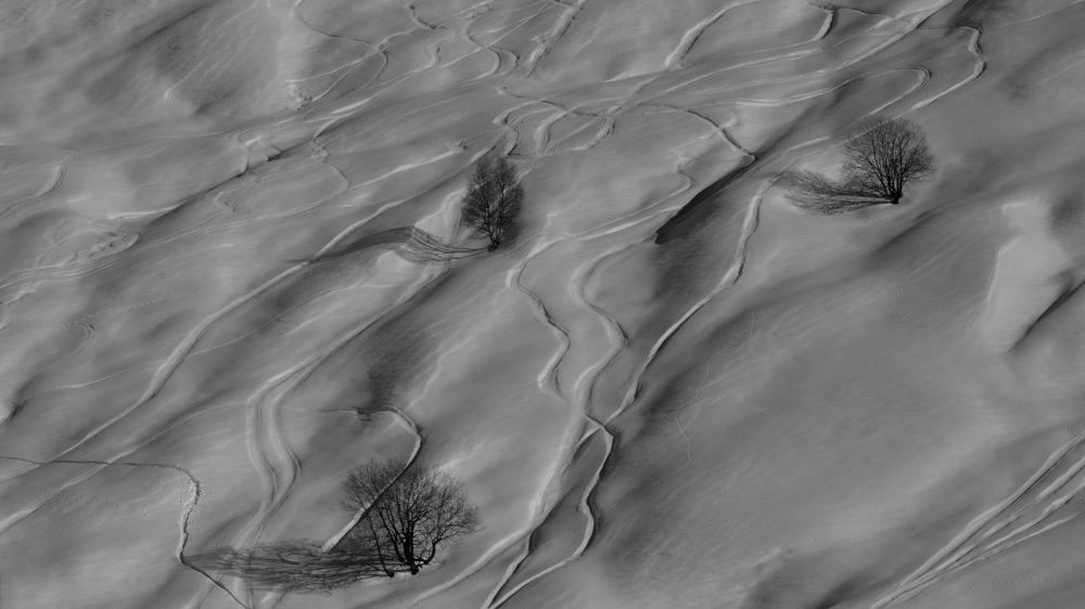 Photograph by Альбина Михайлова