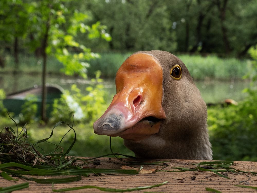 Photograph by Александр Луппов