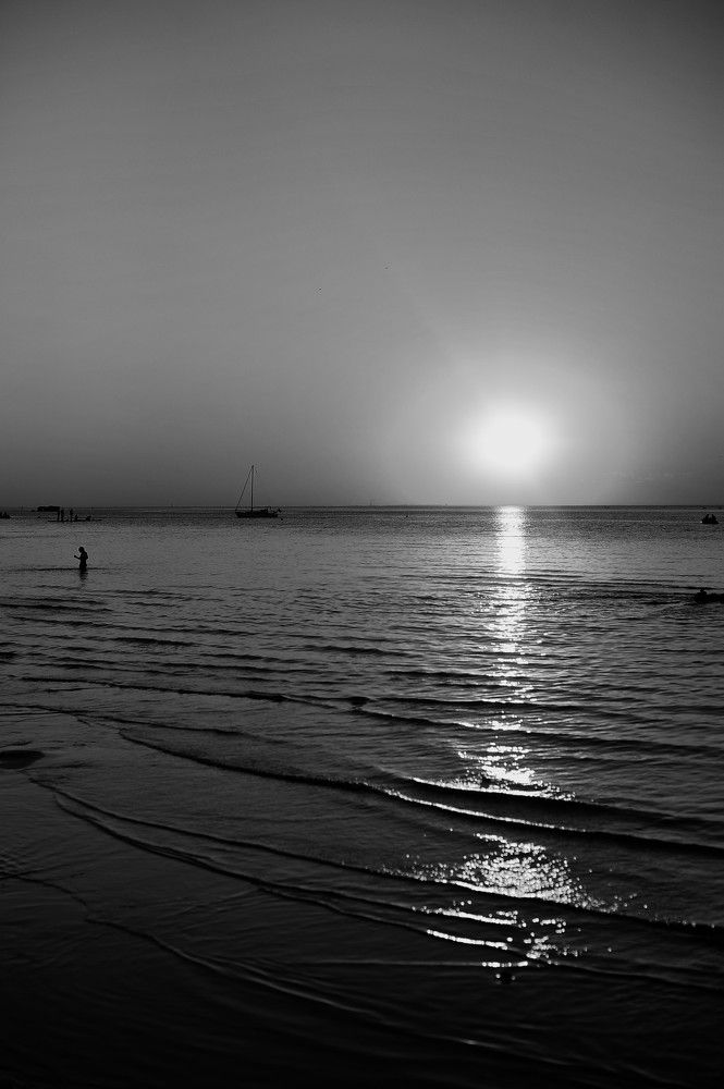 Фотография автора Ольга Пушленкова