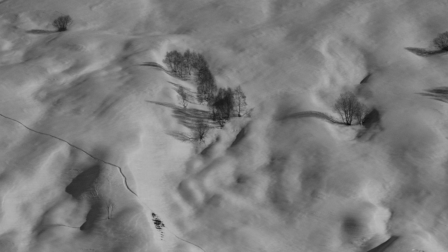 Photo #11638544