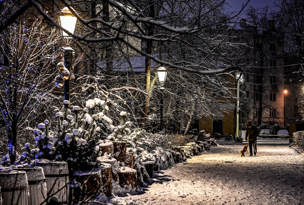 Фотография автора Ковяк Сергей Васильевич