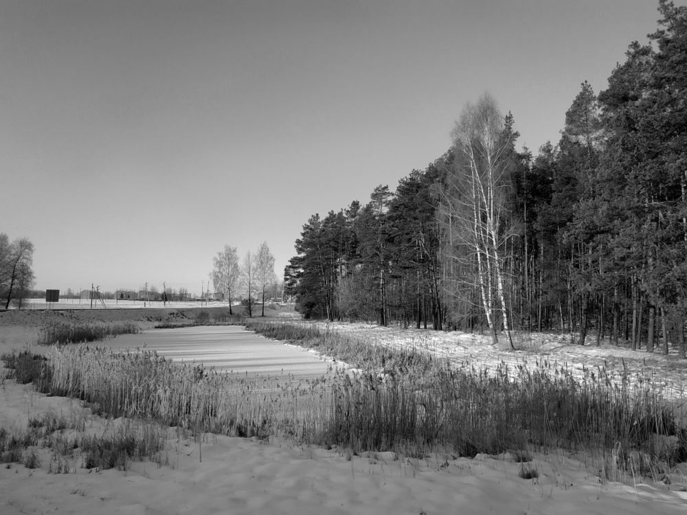 Photograph by Tatiana