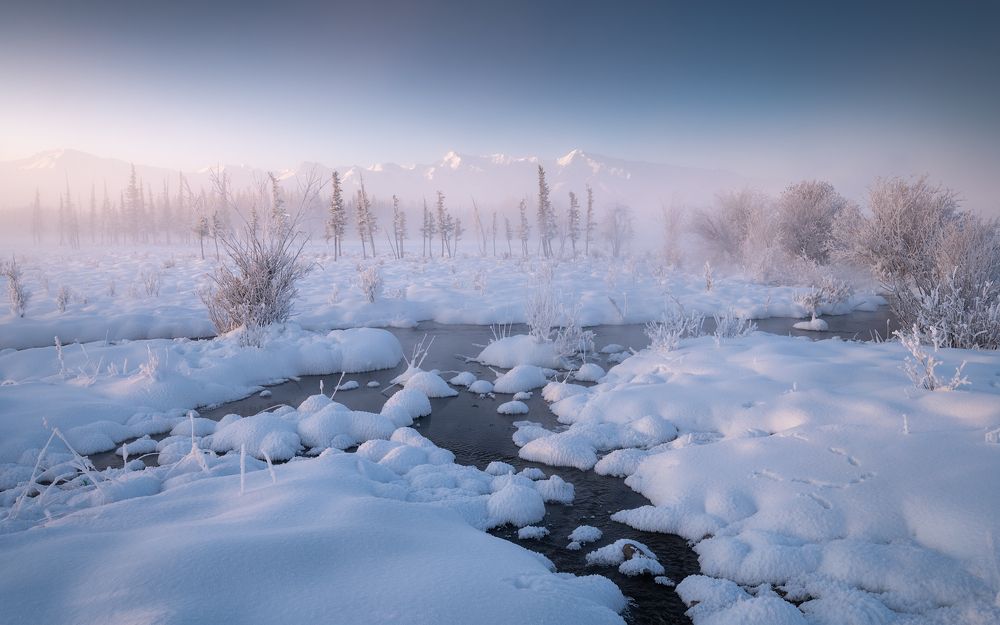 Нежность декабря