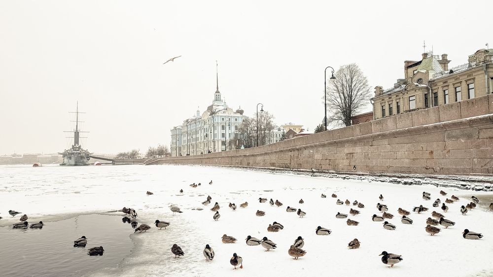 Photograph by Евгения Стриженова