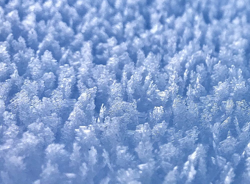 Photograph by Михаил Некрасов