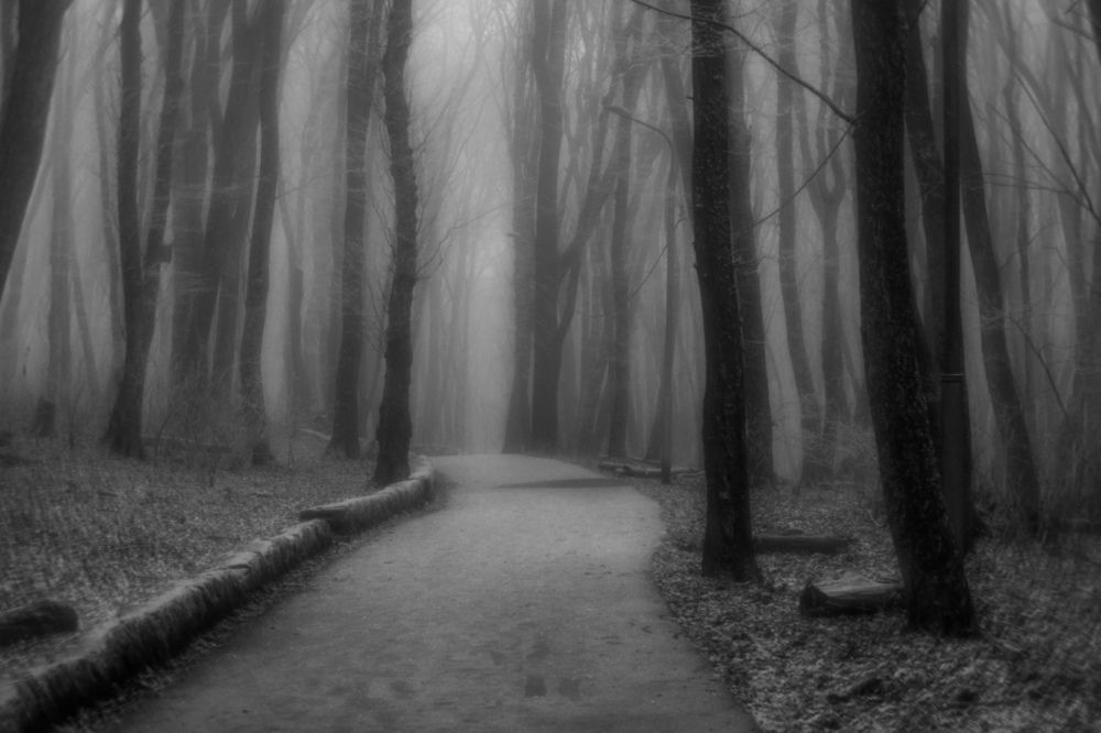 Photograph by Виталий Маслов