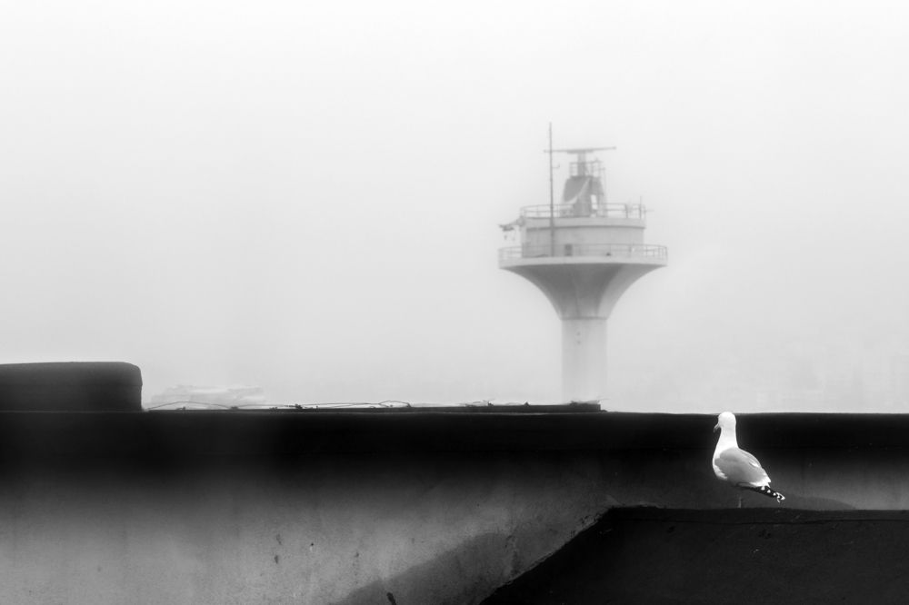 Фотография автора Aylin Turnator