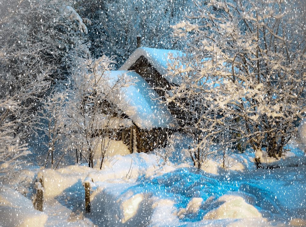 Photograph by ARTEM KORZHUKOV