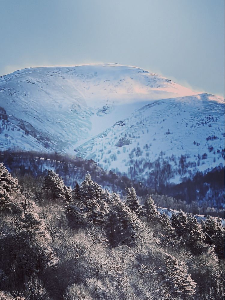 Photograph by Оксана Абакумова