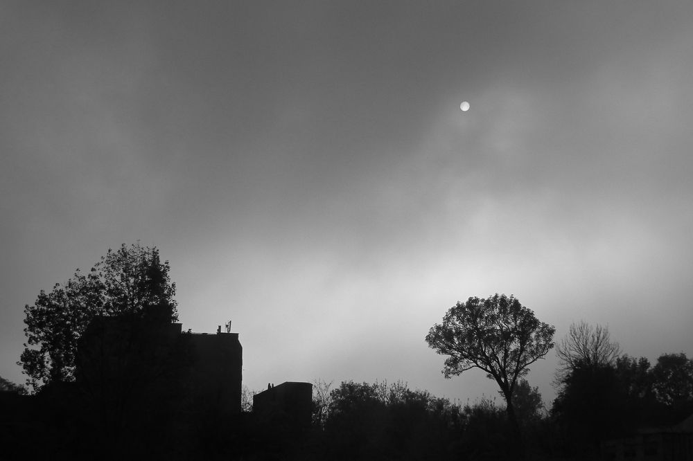 Туманный день (A foggy day )