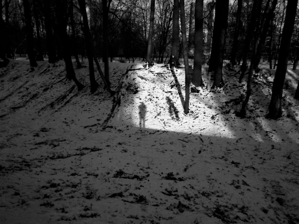 Автопортрет (Self-portrait)