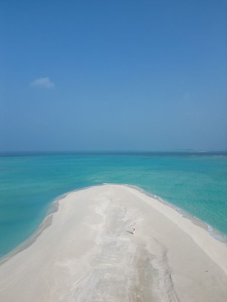 Love is in in the air