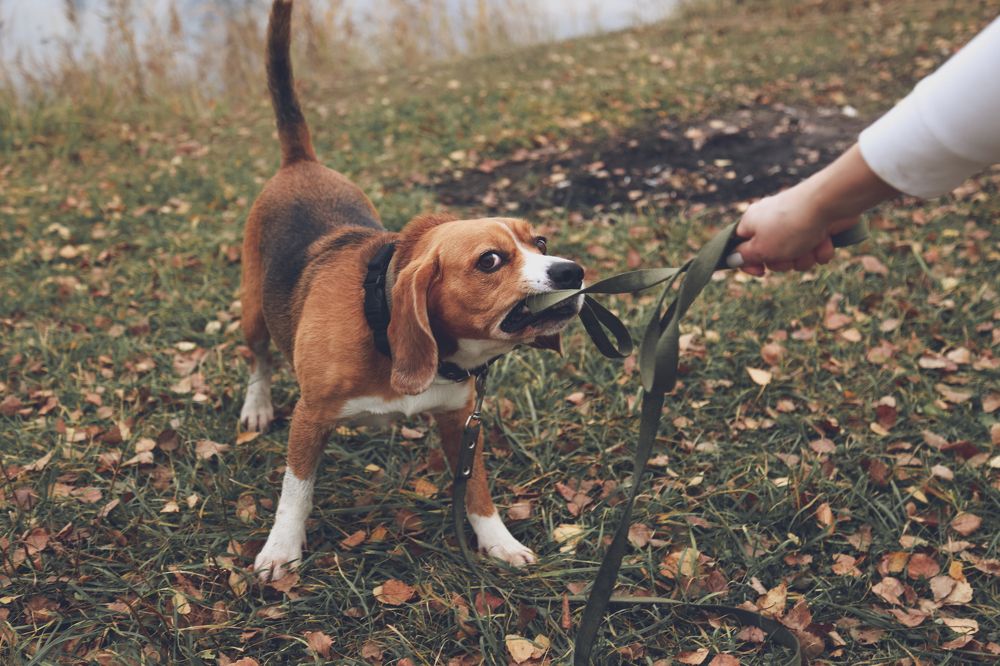 Photograph by Елена Буканина