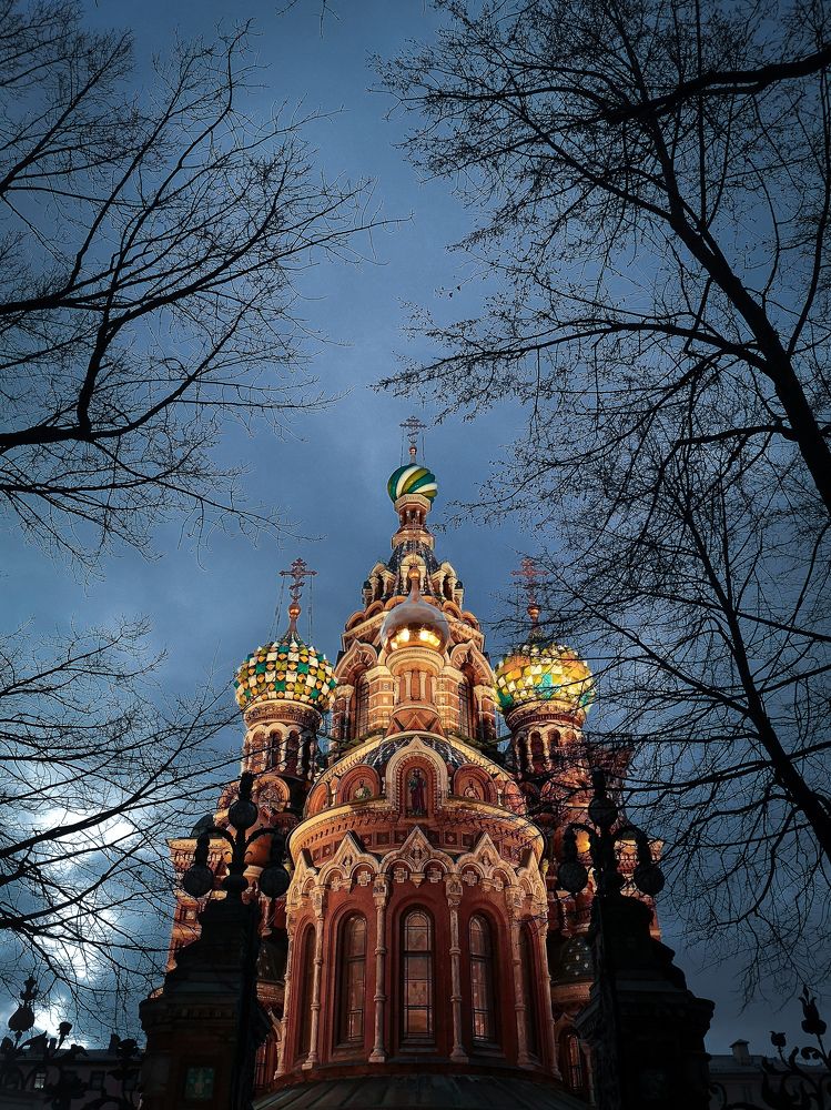 Photograph by Алина Стемковская