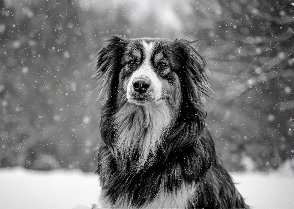 Photograph by александр лялин