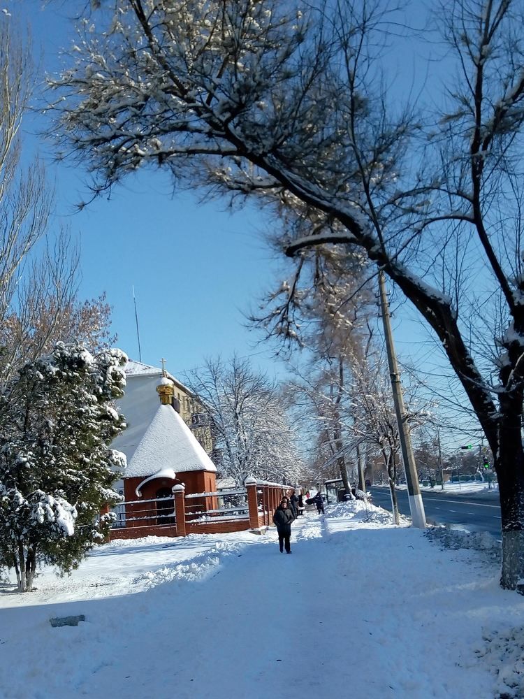 Photograph by Татьяна Пальчикова