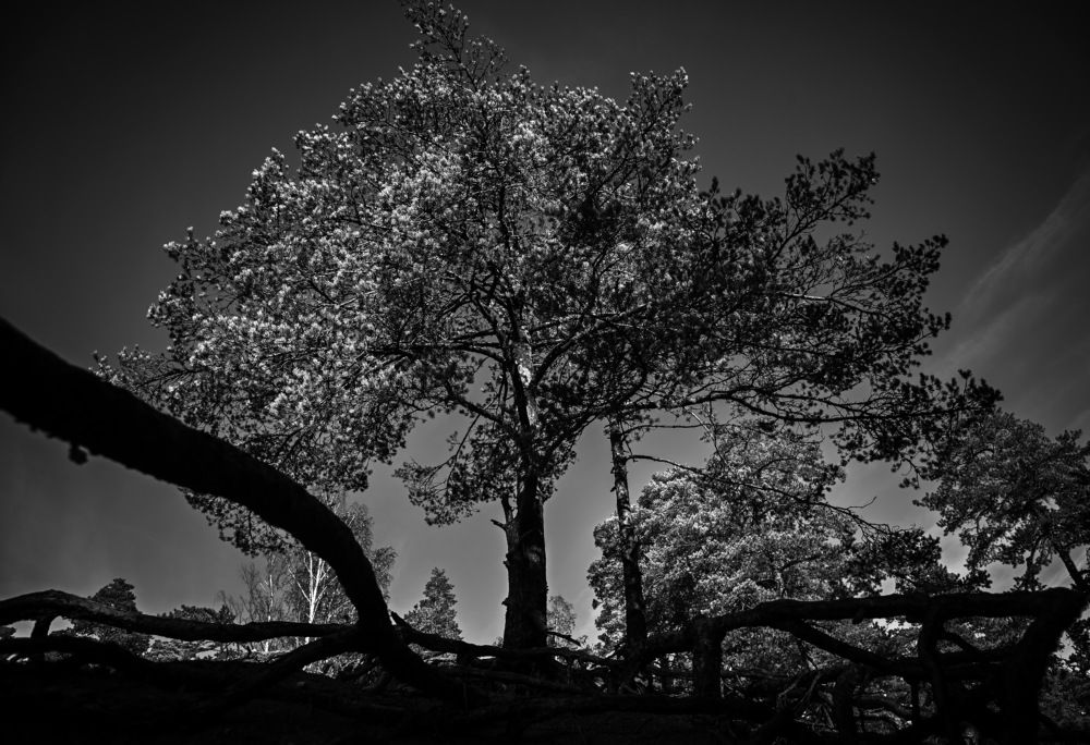 Photograph by Сергей Вальков