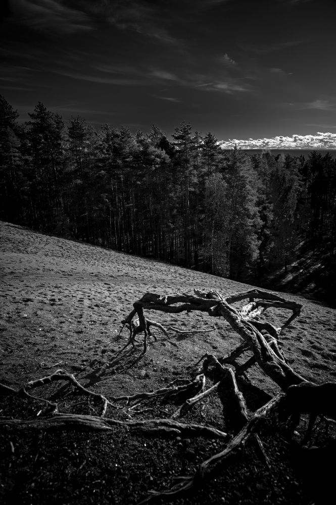 Photograph by Сергей Вальков