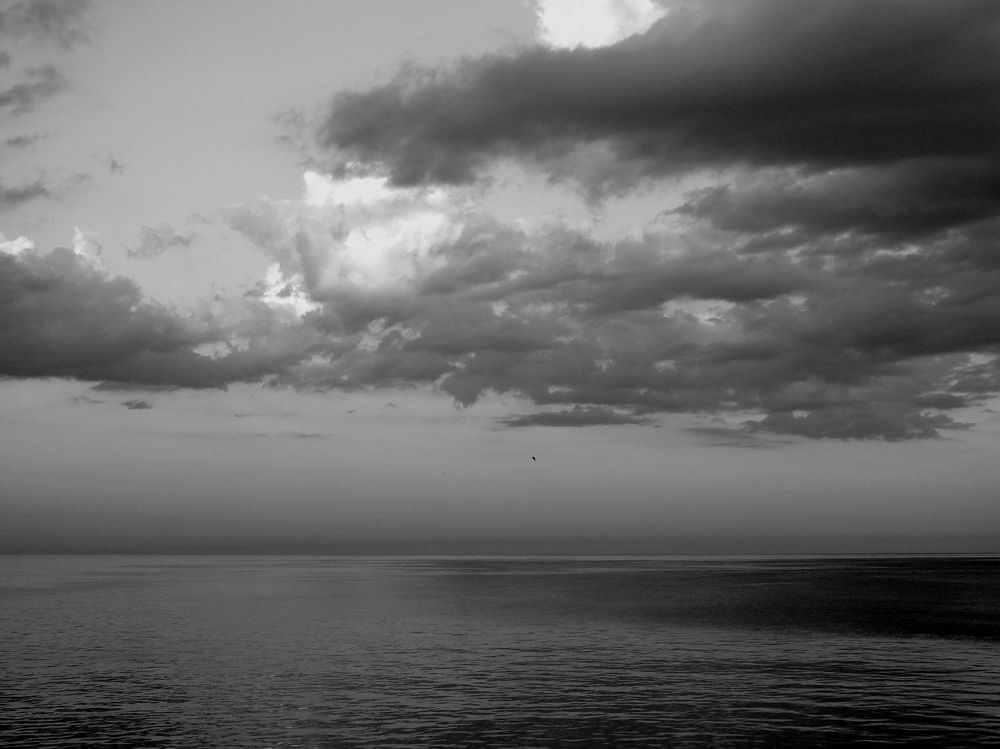 Photograph by Александр Гришин