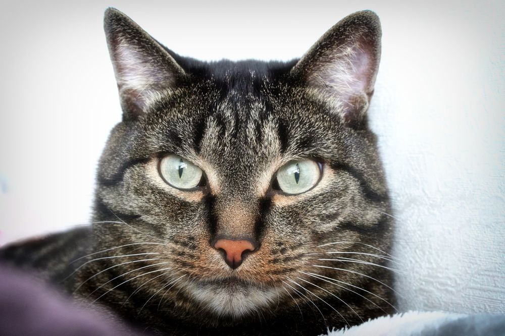 Photograph by Сергей Анисимов