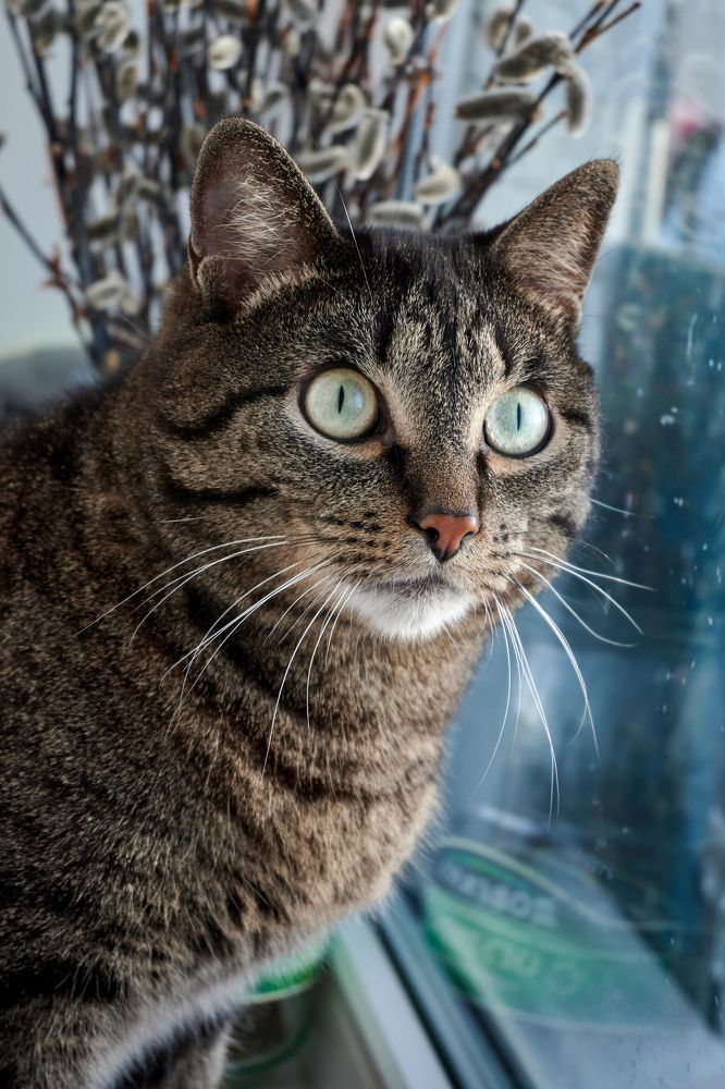 Photograph by Сергей Анисимов