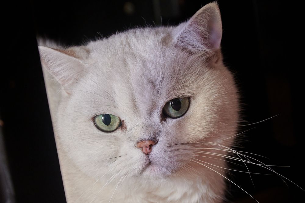 Photograph by Сергей Анисимов