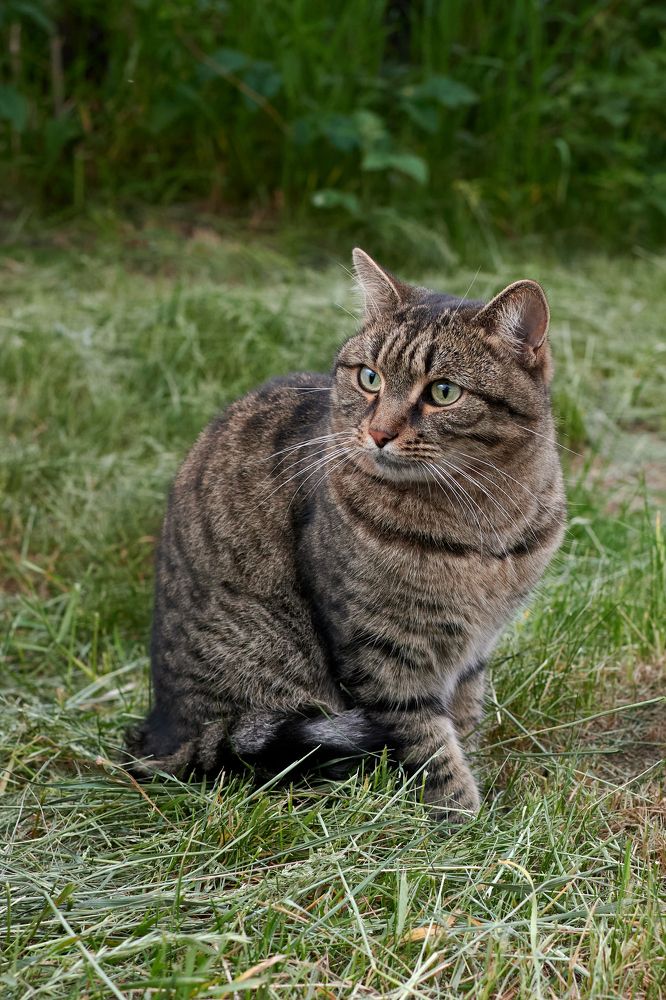 Photograph by Сергей Анисимов