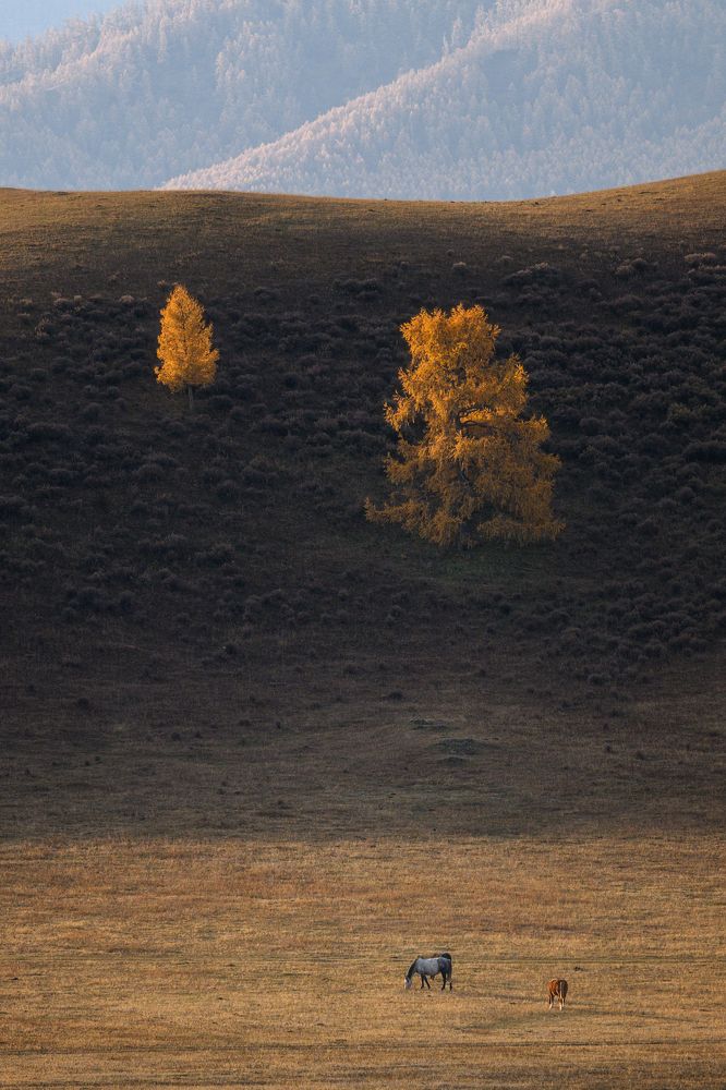 Photograph by Юлия Лаптева