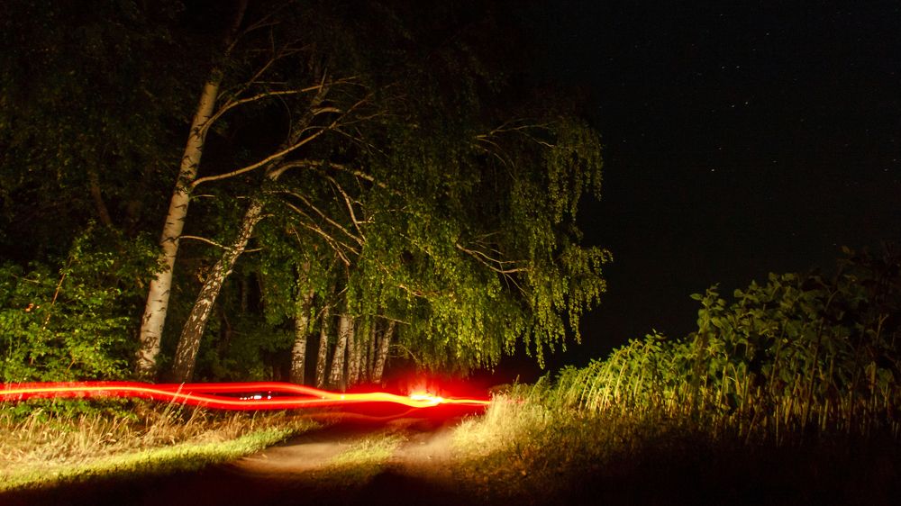 Photograph by Nikolay