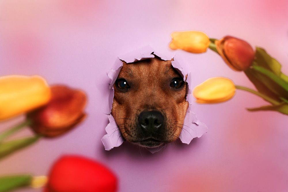 Photograph by Светлана Орешко