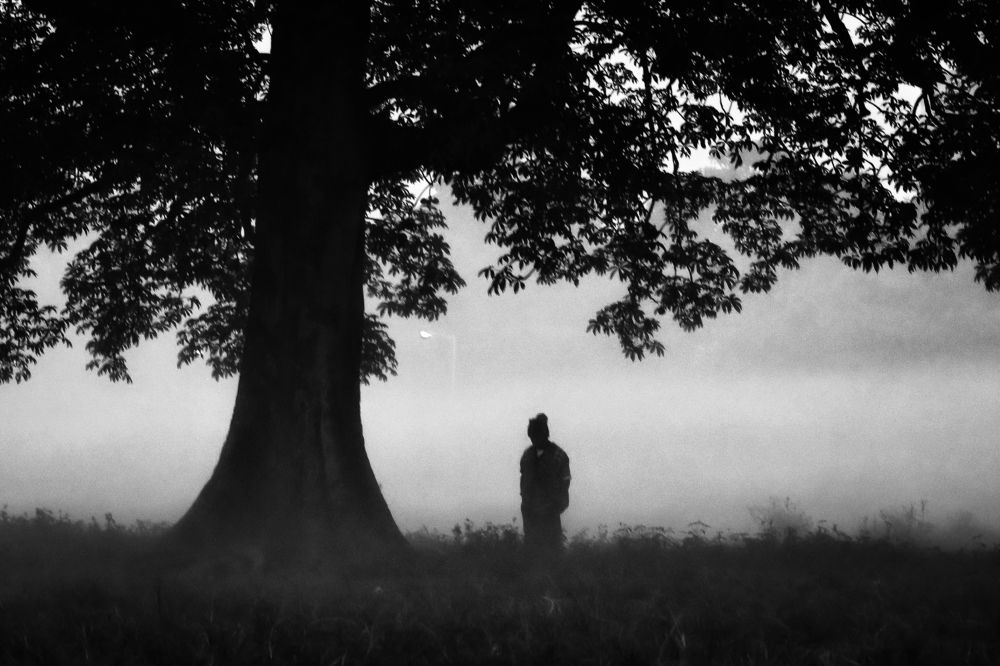 The Man Who Wanted to be A Tree