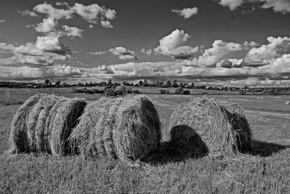 Photograph by Валерий Толмачев