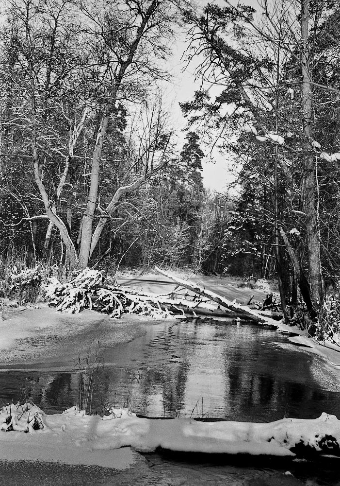 Photograph by Валерий Толмачев