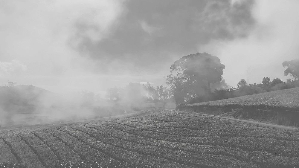 Фотография автора Captured Chronicles