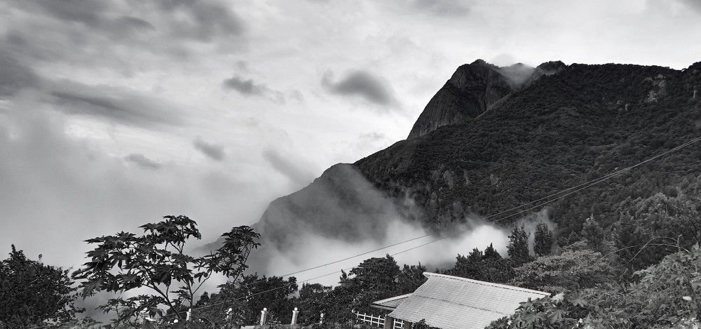 Фотография автора Captured Chronicles