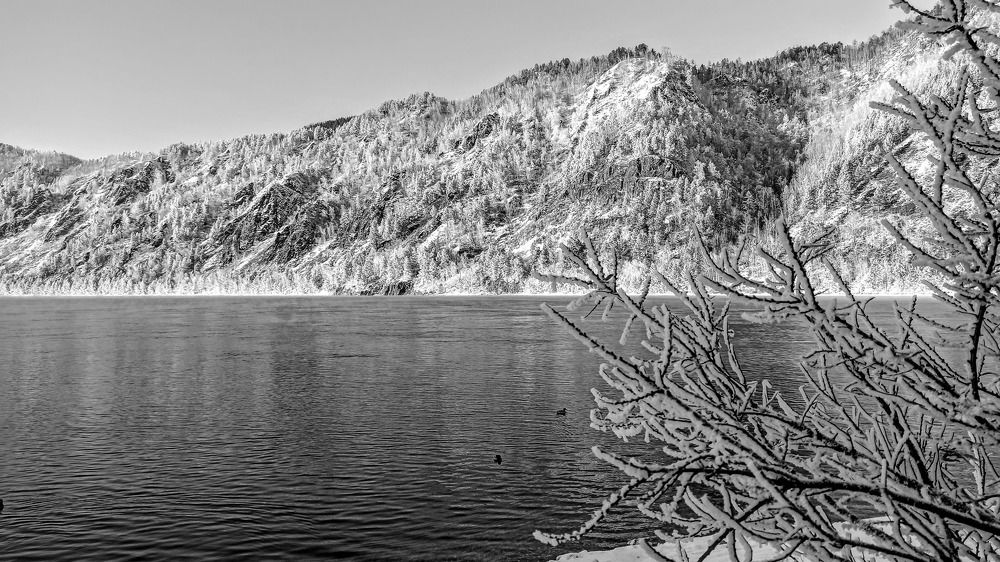 Photograph by Сергей Копылов