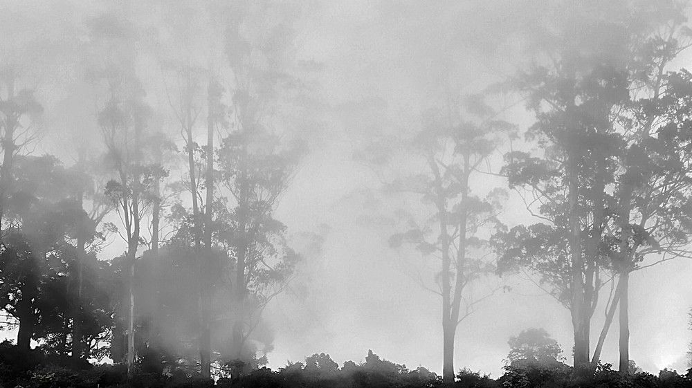 Фотография автора Captured Chronicles