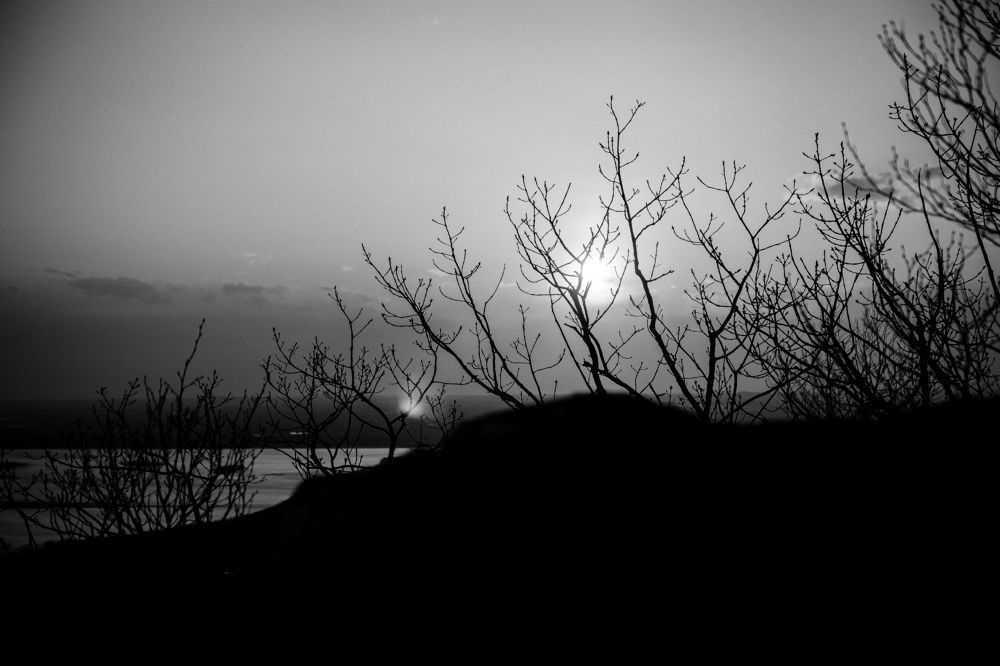 Photograph by Anna Kotelnikova