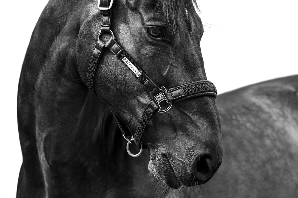 Photograph by Kristina Joanna Eruslanova