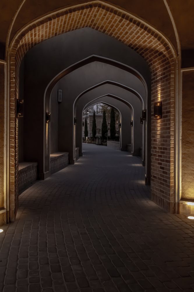 Photograph by Romina Moniri